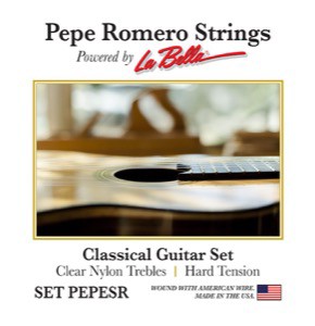 PEPESR string model